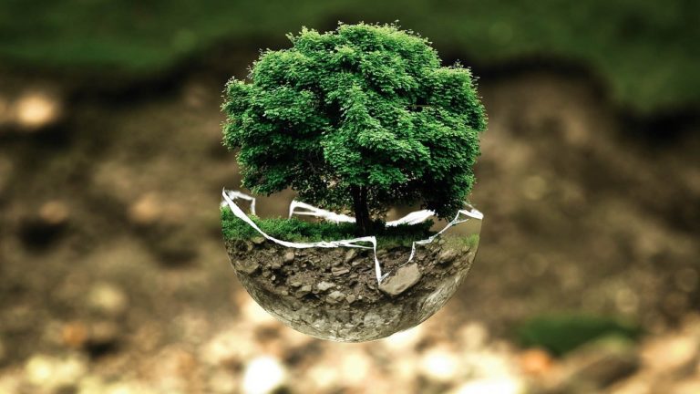ambiental