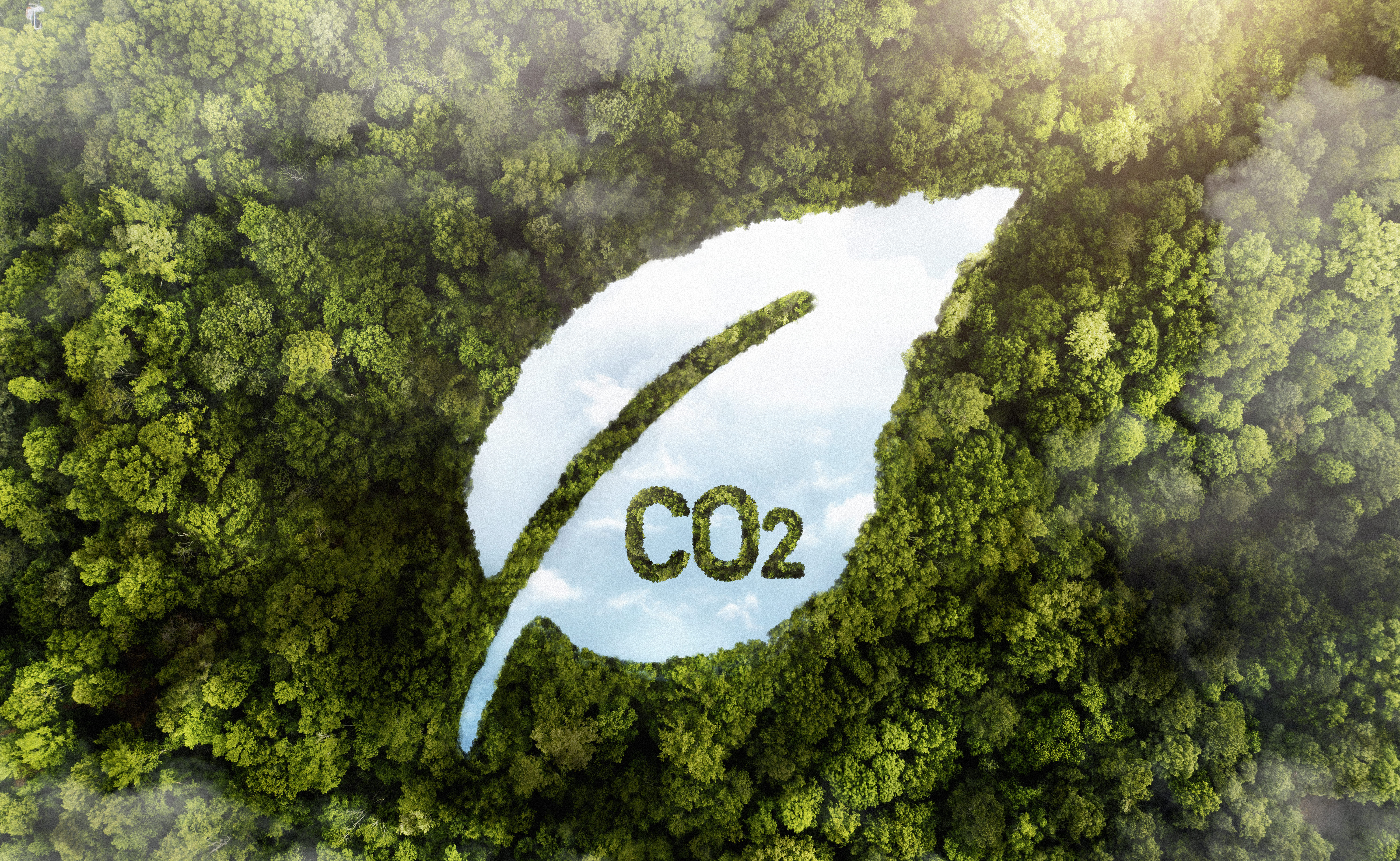 Crédito Carbono